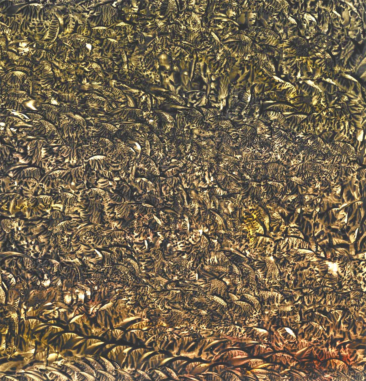 Multidimensional Artist